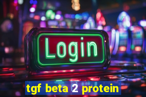 tgf beta 2 protein